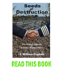 This skilfully researched book focuses on how a small socio-political American elite seeks to establish its control over the very basis of human survival, the provision of our daily bread. 'Control the food and you control the people'. This is no ordinary book about the perils of GMO. Engdahl takes the reader inside the corridors of power, into the backrooms of the science labs, behind closed doors in the corporate boardrooms. The author reveals a World of profit-driven political intrigue, government corruption and coercion, where genetic manipulation and the patenting of life forms are used to gain world-wide control over food production. The book is an eye-opener, a must-read for all those committed to the causes of social justice and World peace.