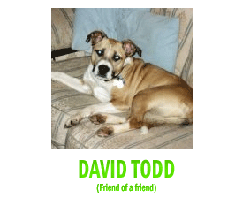 An Facebook chat with David Todd